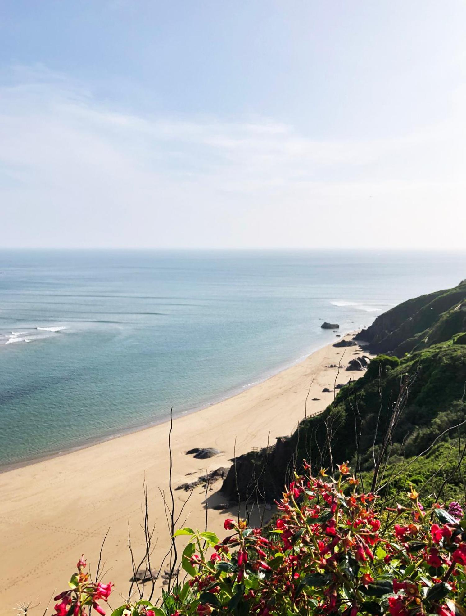 Cosy Beachside Cottage Bigbury Eksteriør bilde